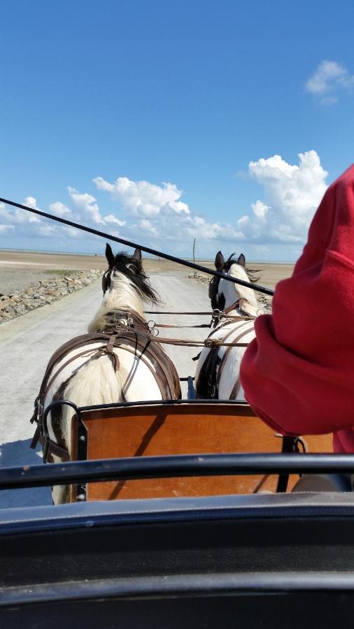 Les Chevaux De L'Hippocampe Hotel Mont-Dol Exterior foto