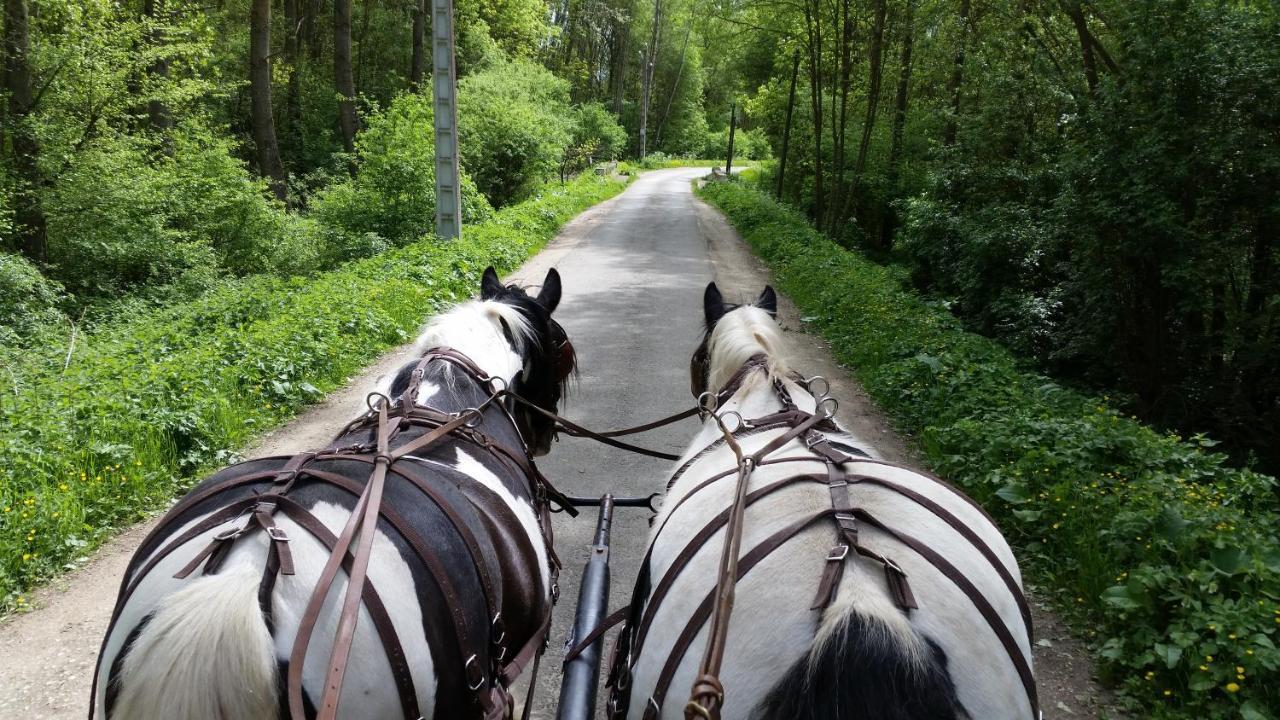 Les Chevaux De L'Hippocampe Hotel Mont-Dol Exterior foto